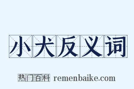 小犬反义词是什么意思的图片